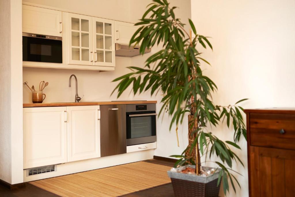 Frühstückspension Kleinschuster Burgau Habitación foto